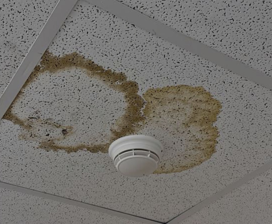 Acoustic Ceiling Removal — Portland drywall contractor project photo