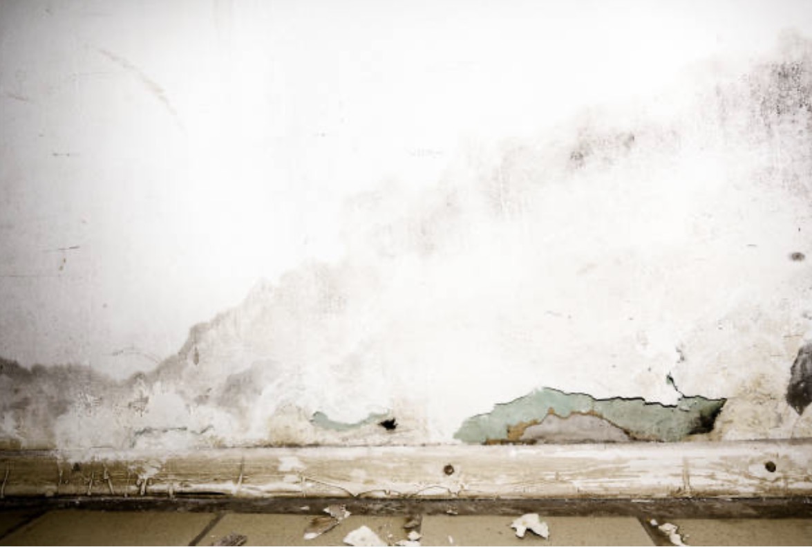 Water Damage — Portland drywall contractor project photo